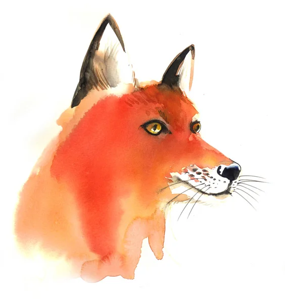 Prachtige Aquarel Fox Hoofd — Stockfoto
