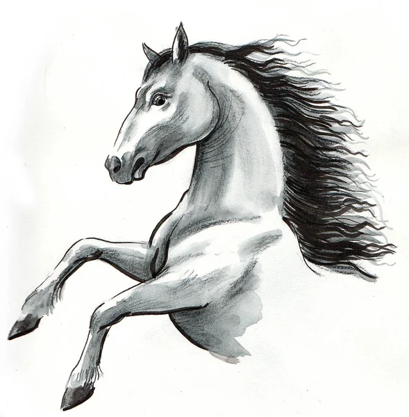Vilda Vita Hästen Bläck Och Akvarell Illustration — Stockfoto
