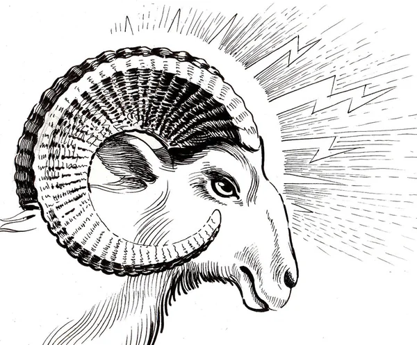 白羊座星座作为公羊的头 墨迹黑白绘图 — 图库照片