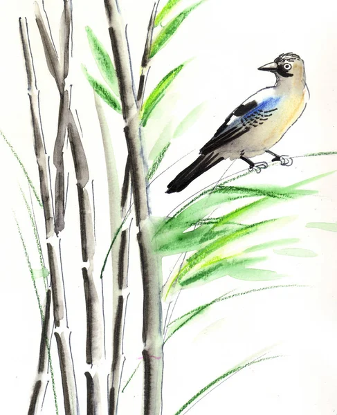 Bird in the bamboo. Ink and watercolor illustration