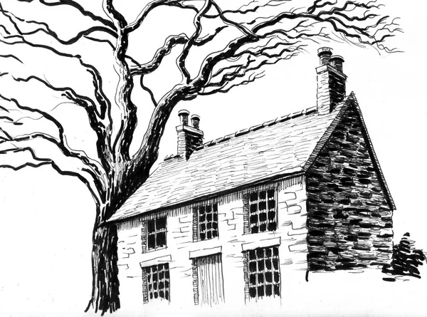 Casa Velha Árvore Tinta Ilustração Preto Branco — Fotografia de Stock