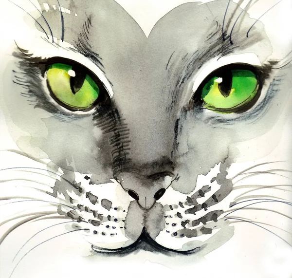 Grijze Kat Met Groene Ogen Inkt Aquarel Illustratie — Stockfoto