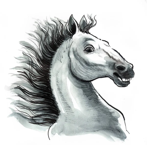 Wild White Horse Head Ink Watercolor Illustration — Stock Photo, Image