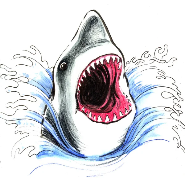 Requin Colère Dans Eau Mer Illustration Encre Aquarelle — Photo