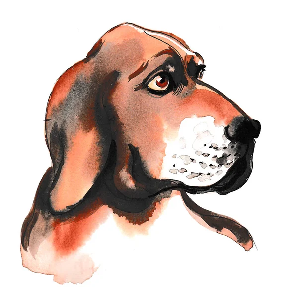 Treurige Hond Hoofd Inkt Aquarel Illustratie — Stockfoto