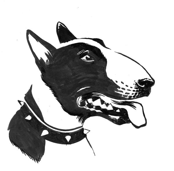 Cão Bull Terrier Tinta Desenho Preto Branco — Fotografia de Stock