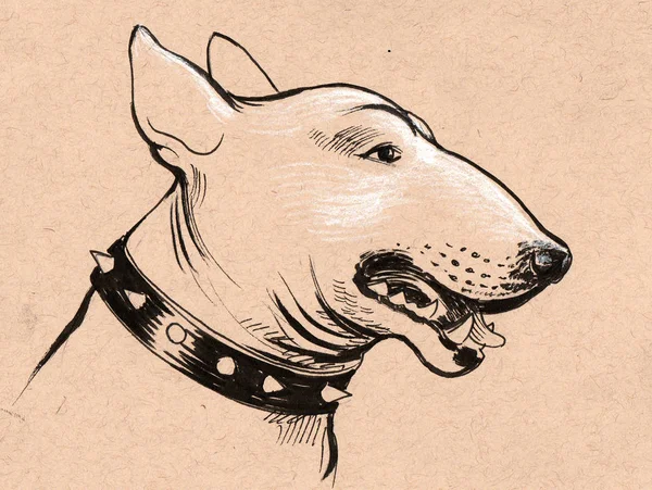 Bull Terrier Dog Head Ink Sketch — Stock Photo, Image