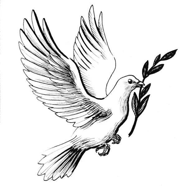 White dove with olive branch. Ink black and white drawing