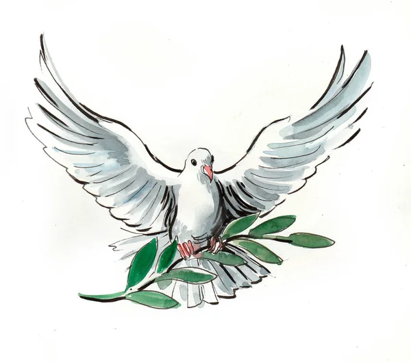 Flying white dove with an olive branch. Ink and watercolor drawing