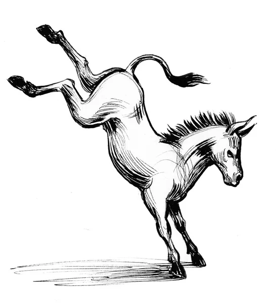 Kicking Donkey Ink Black White Drawing — Stock Photo, Image