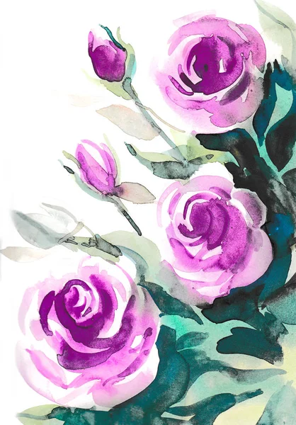 Roses Violettes Sur Fond Blanc Aquarelle Peinture — Photo