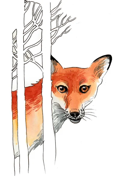 Fox Het Bos Inkt Aquarel Illustratie — Stockfoto