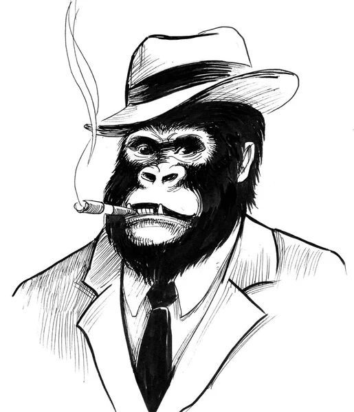 Chefe Gorila Fato Charuto Tinta Desenho Preto Branco — Fotografia de Stock