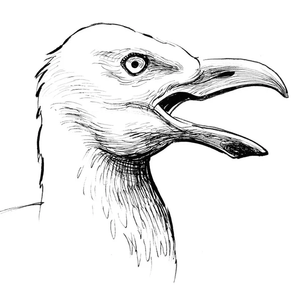 Seagull Head Ink Black White Drawing — Stock Photo, Image