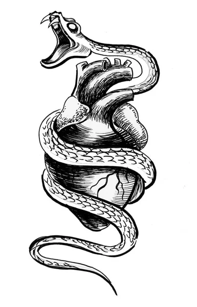 Human Heart Snake Ink Black White Drawing — Stock Photo, Image