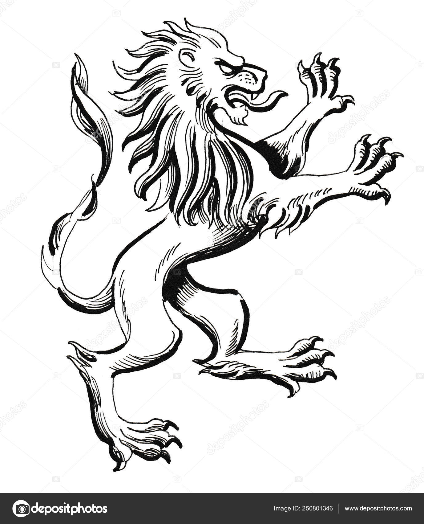 Heraldic Medieval European Lion Ink Black White Drawing Stock ...