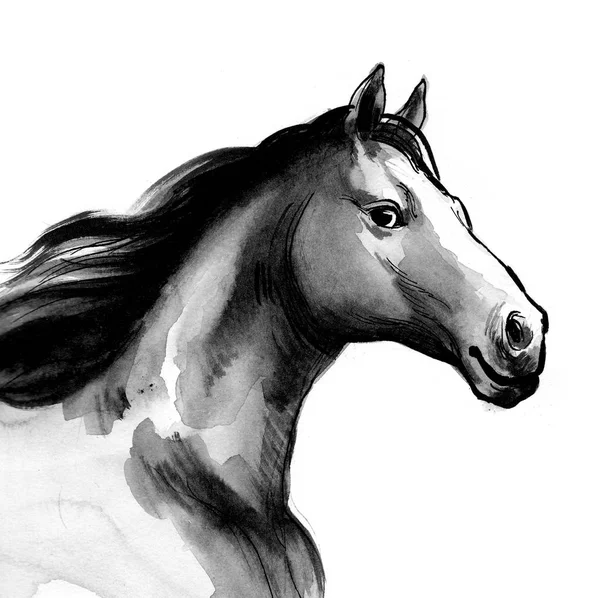 Schöner Pferdekopf Tusche Und Aquarell Illustration — Stockfoto