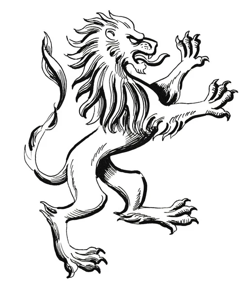 Lion Européen Médiéval Héraldique Encre Dessin Noir Blanc — Photo
