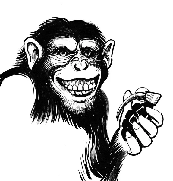 Chimpanzé Com Uma Granada Tinta Desenho Preto Branco — Fotografia de Stock