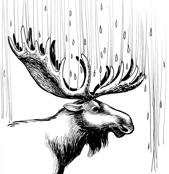 Moose Regen Inkt Zwart Wit Afbeelding — Stockfoto