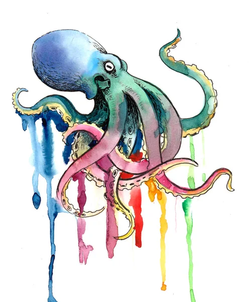 彩虹色章鱼 水墨和水彩插图 — 图库照片