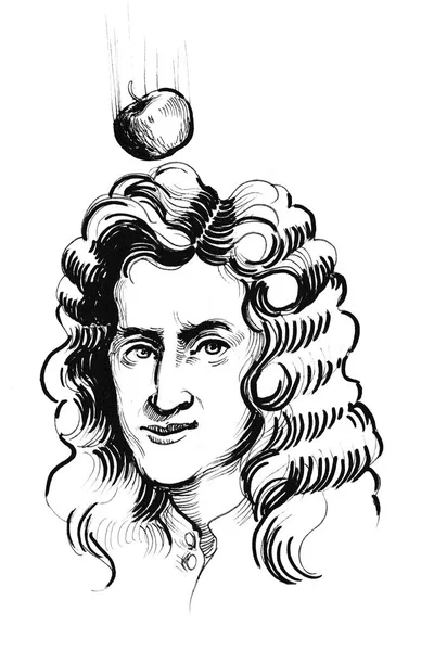 Сэр Исаак Ньютон Падающее Яблоко Чернила Черно Белые — стоковое фото