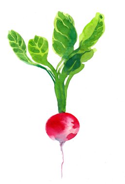 Alyanslar. Mürekkep siyah beyaz illüstrasyon