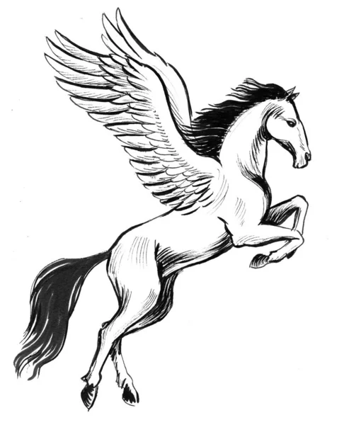 Cavalo Pegasus Voador Tinta Desenho Preto Branco — Fotografia de Stock