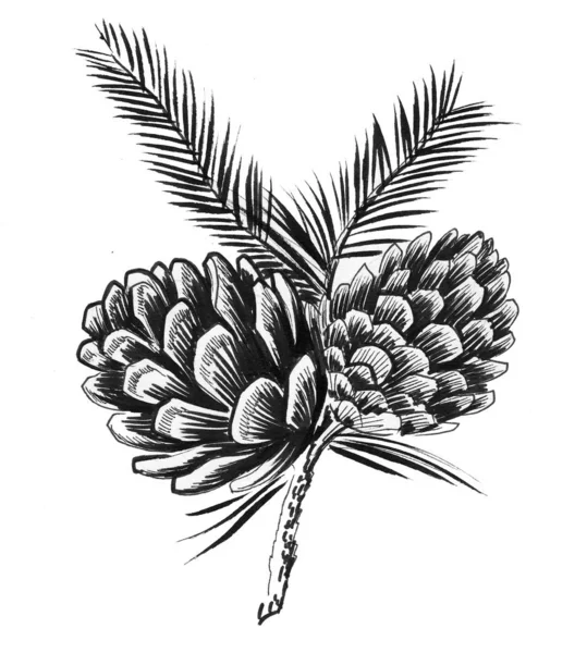 Šišky Borovice Větvi Stromu Černobílá Kresba Inkoustu — Stock fotografie