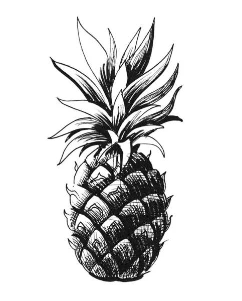 Frutta All Ananas Inchiostro Illustrazione Bianco Nero — Foto Stock