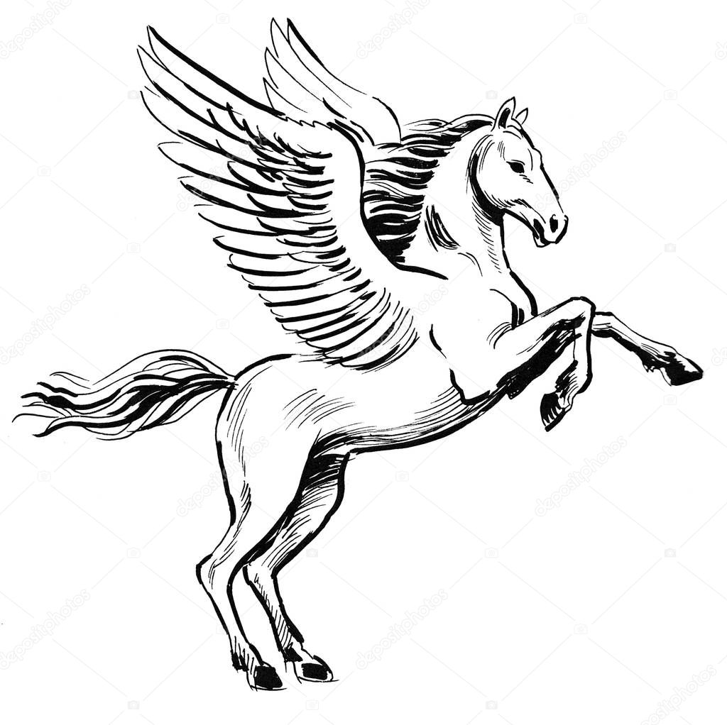 Beautiful Pegasus horse. Ink black and white drawing