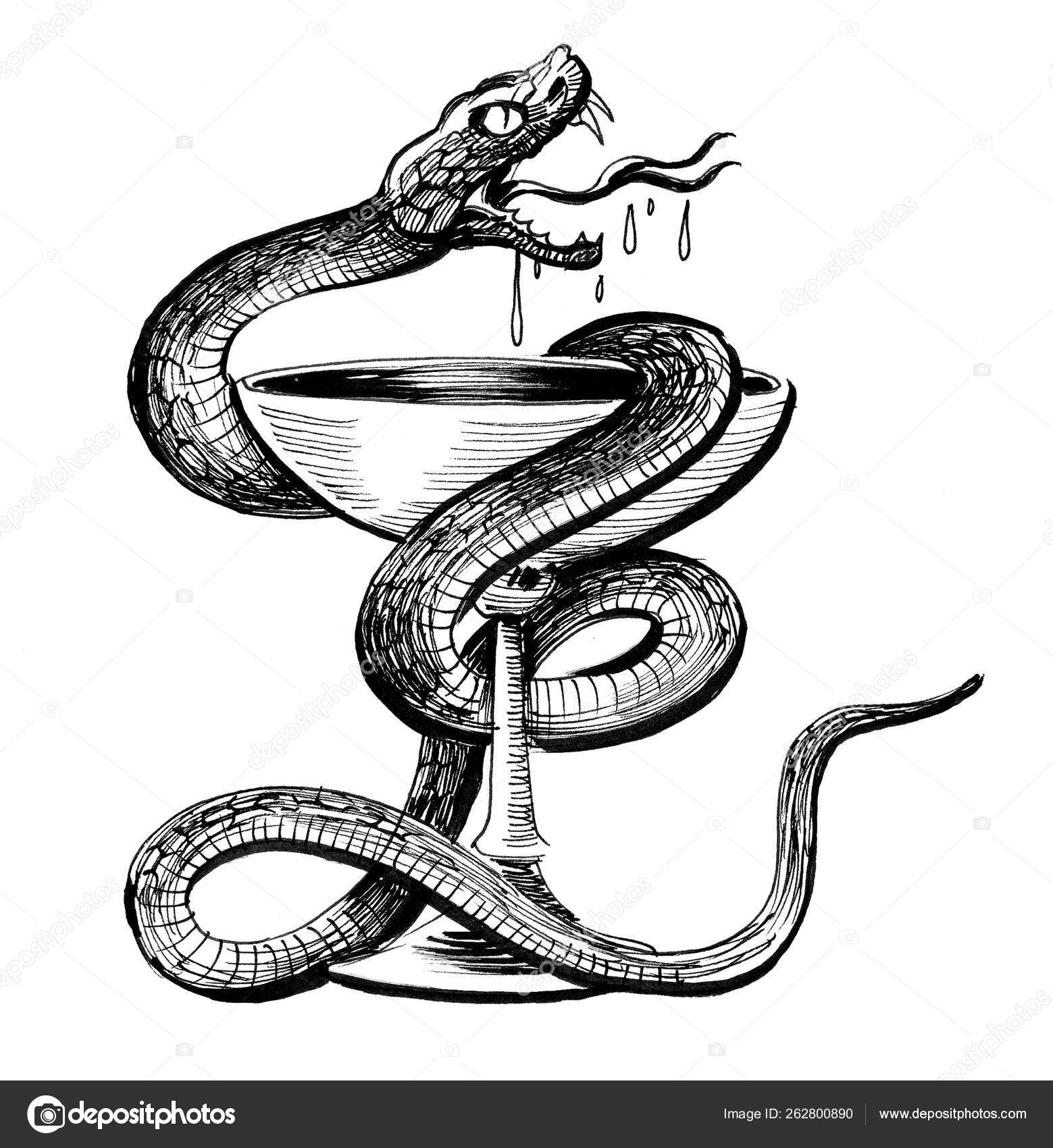 Cobra com maçã e mão. desenho de tinta preto e branco
