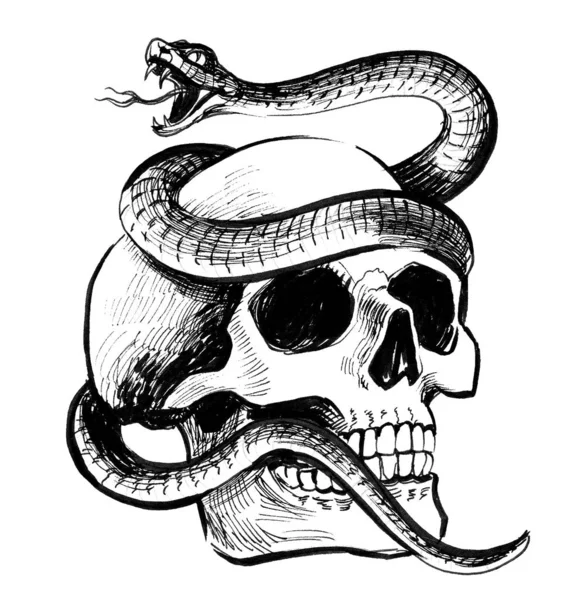Φίδι Και Ανθρώπινο Κρανίο Μελάνι Ασπρόμαυρο Σχέδιο — Φωτογραφία Αρχείου