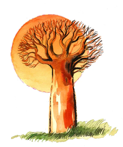 Grote Baobab Boom Zon Inkt Aquarel Illustratie — Stockfoto