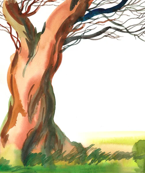 Большое Дерево Зеленая Трава Акварель — стоковое фото