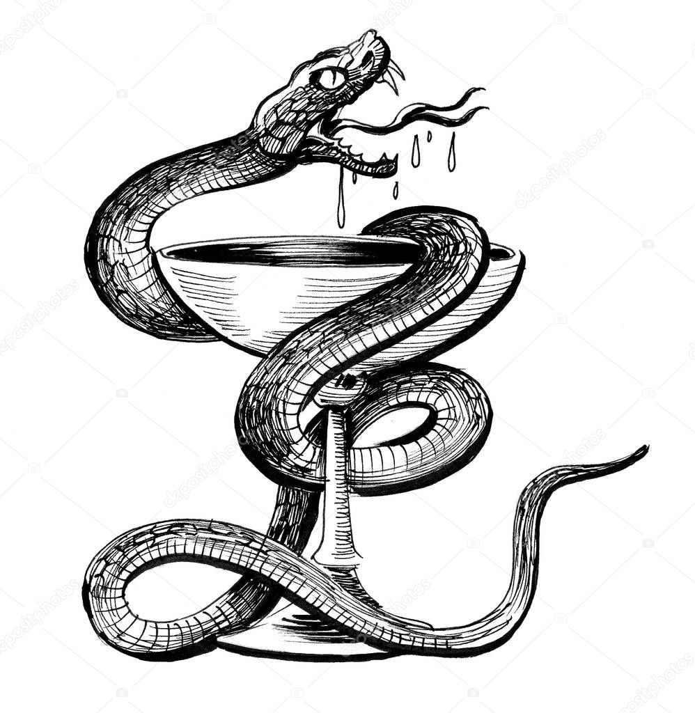 Poisonous snake and vase. Ink black and white drawing