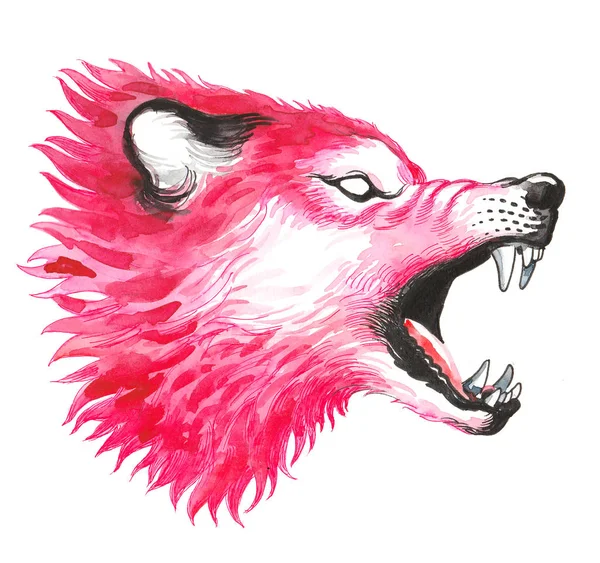 Serigala Merah Gila Ilustrasi Tinta Dan Cat Air — Stok Foto