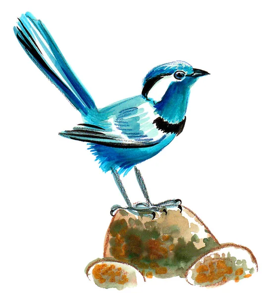 Blauwe Vogel Zittend Een Steen Inkt Aquareltekening — Stockfoto