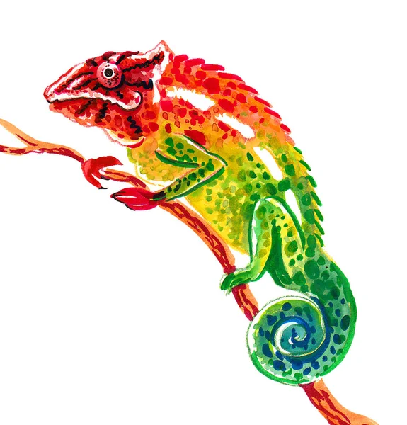 Lagarto Camaleão Colorido Desenho Tinta Aquarela — Fotografia de Stock