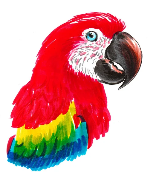 Barevný Papoušek Kresba Inkoustem Akvarelem — Stock fotografie