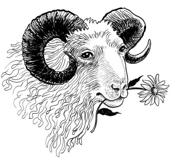 Ram Come Flores Tinta Desenho Preto Branco — Fotografia de Stock