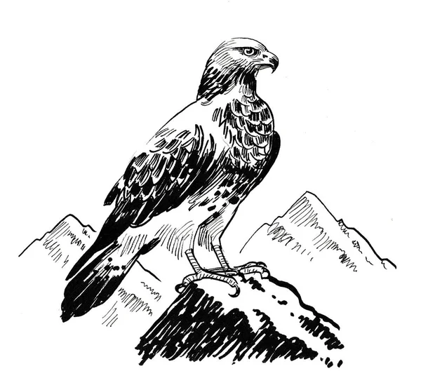 Pájaro Águila Sentado Una Roca Dibujo Blanco Negro Tinta — Foto de Stock