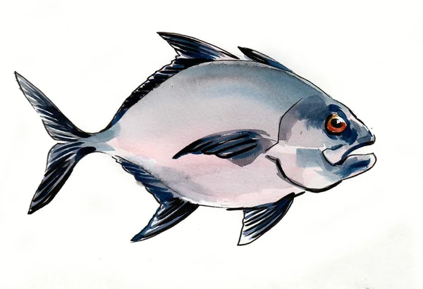 Piranha Fish Ink Watercolor Drawing — Stock Photo, Image