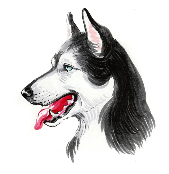 Cabeça Cão Pegajosa Desenho Tinta Aquarela — Fotografia de Stock