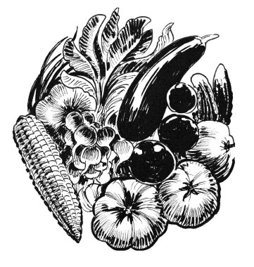 Bir sürü sebze. Mürekkep siyah beyaz çizim