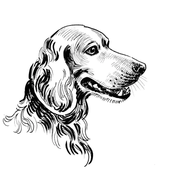 Cabeça Cão Spaniel Tinta Desenho Preto Branco — Fotografia de Stock