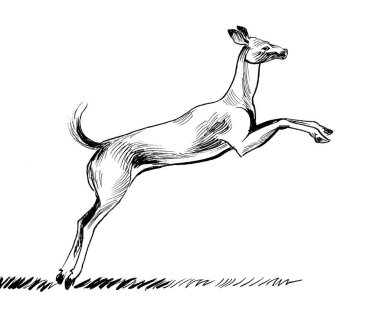 Koşan antilop. Mürekkep siyah beyaz çizim