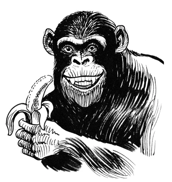 Chimpanzee Eating Banana Fruit Ink Black White Drawing — Stock Photo, Image