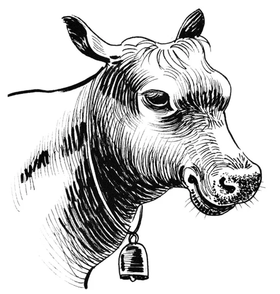 Süt Ineği Kafası Mürekkep Siyah Beyaz Çizim — Stok fotoğraf