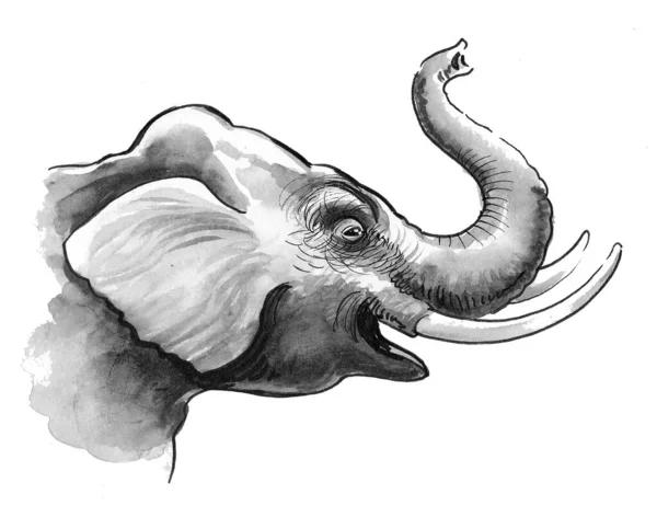 Cabeza Elefante Dibujo Blanco Negro Tinta — Foto de Stock